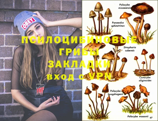 винт Кодинск