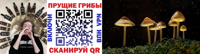 Купить закладки  Лиски  Псилоцибиновые грибы Psilocybine cubensis 