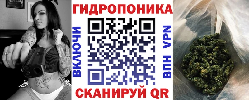 Купить Лиски Бошки Шишки SATIVA & INDICA
